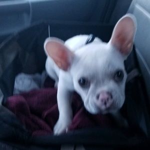 Meet your Posher, Kenny